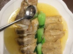 -张生记(丁香国际店)