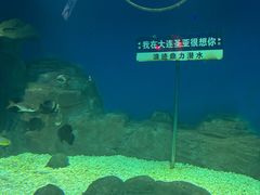 -大连圣亚海洋世界