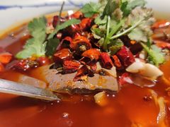 毛血旺-辛香汇(大华第一坊店)