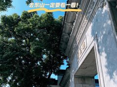 -东山雕花楼