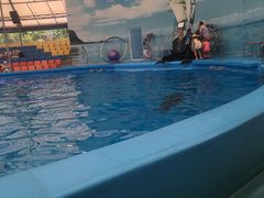 -尼莫海豚馆