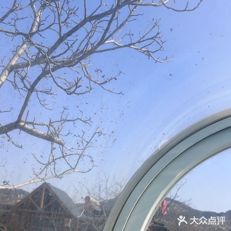 平邑李家石屋金线缘山庄绝绝子