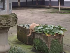 -宝光寺