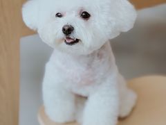 -Apple零售店(成都太古里店)