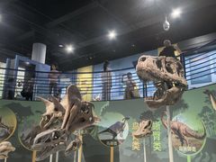 -国家自然博物馆