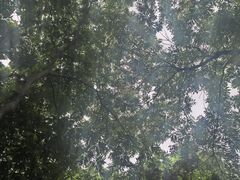 -杭州城北体育公园