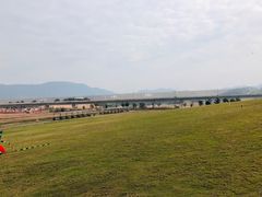 -光明小镇欢乐田园