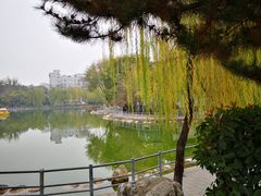 -莲湖公园