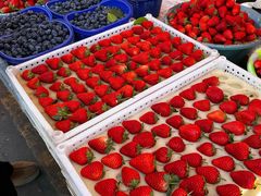 -南坛综合农贸市场