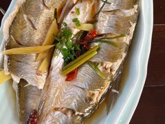 -乡乐园蟹庄·阳澄湖农家乐