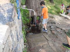 -阳台山自然风景区