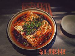 -红辣椒·川菜·火锅(张杨路店)