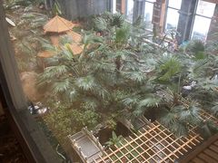 -陆地游轮吉林神农温泉