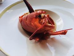 金银蒜蒸加龙-金轩中餐厅 Jin Xuan(浦东丽思卡尔顿酒店)