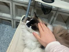 -seeu coffee(江滩店)