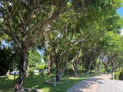 -荔枝公园-小平画像广场