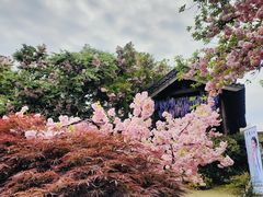 -茅山东方盐湖城景区