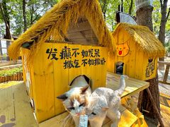 -沂蒙山旅游区云蒙景区(蒙山国家森林公园)