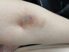 -上海中医药大学附属曙光医院(东部)