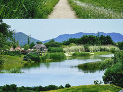-良渚古城遗址公园