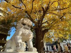 -北京石刻艺术博物馆(五塔寺)