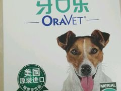 -爱侣宠医·鹦鹉专科·小型哺乳类·异宠专科(灵石路店)