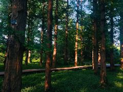 -国家植物园南园