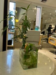 -菲·木田moontin造型salon