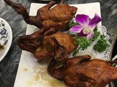 -鸽鸟轩(石岐店)