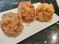 -丁老爷子苏香圆
