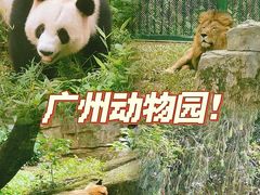 -广州动物园