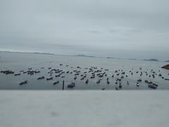 -枸杞岛