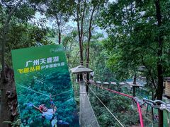 -天鹿湖森林公园