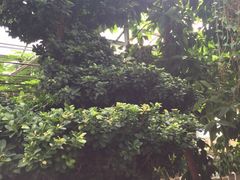 -陆地游轮吉林神农温泉