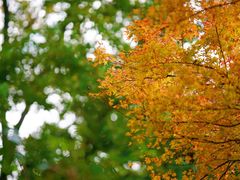 -苏州河梦清园环保主题公园