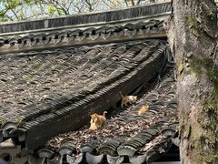 -绮园景区