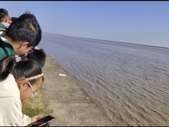 -观潮胜地公园