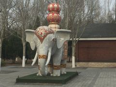 -永定河休闲森林公园