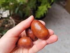 -双福水果批发市场