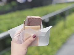 -詹爷爷乌节路街头冰淇淋
