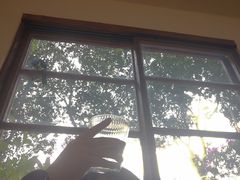 -白熊咖啡(闽江大道店)