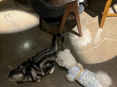 -咖法森林·咖啡  酒吧(天河店)