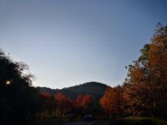 -龙川湾千岛湖国际垂钓中心