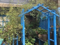 -桂林市花鸟市场