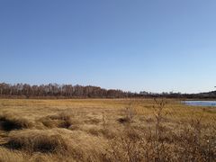 -塞罕坝国家级自然保护区