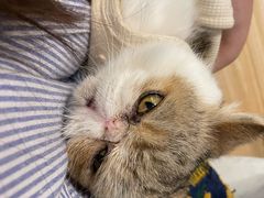 -平行世界·猫咖(首经贸店)