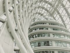 -凤凰中心