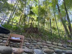 -花水湾第一村温泉大酒店