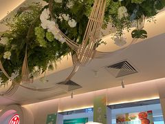 -Aqua Oasis 水天堂(太湖中心mall店)