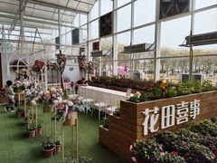 -盈香心动乐园
